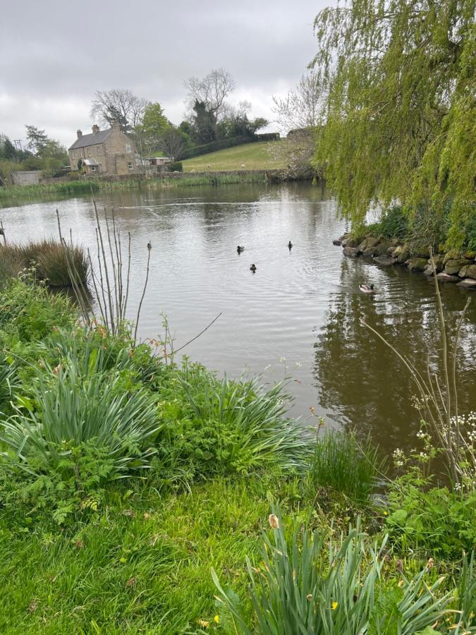 Woodside Cottage Grewelthorpe Nr Masham Ripon Ngoại thất bức ảnh